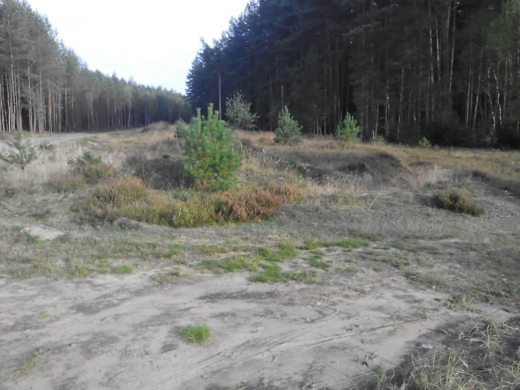 Hradcany Skelna Hut Kurivody Pisciny Vresoviste A Mokrady Lokality Kralovstvi Vlcich Vresovist Vychodni Cast Velke Jaromersko